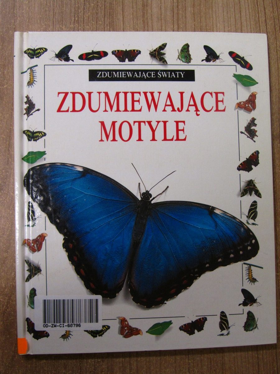 Zdumiewający świat motyli