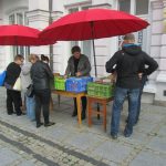 Gra Miejska 2017 