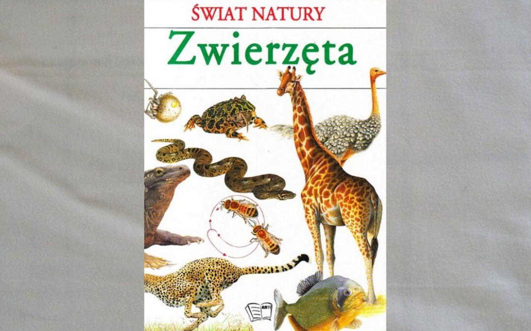 Świat zwierząt