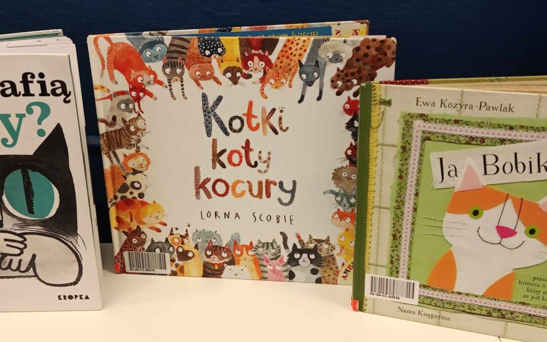 Koty,Kotki, kocury